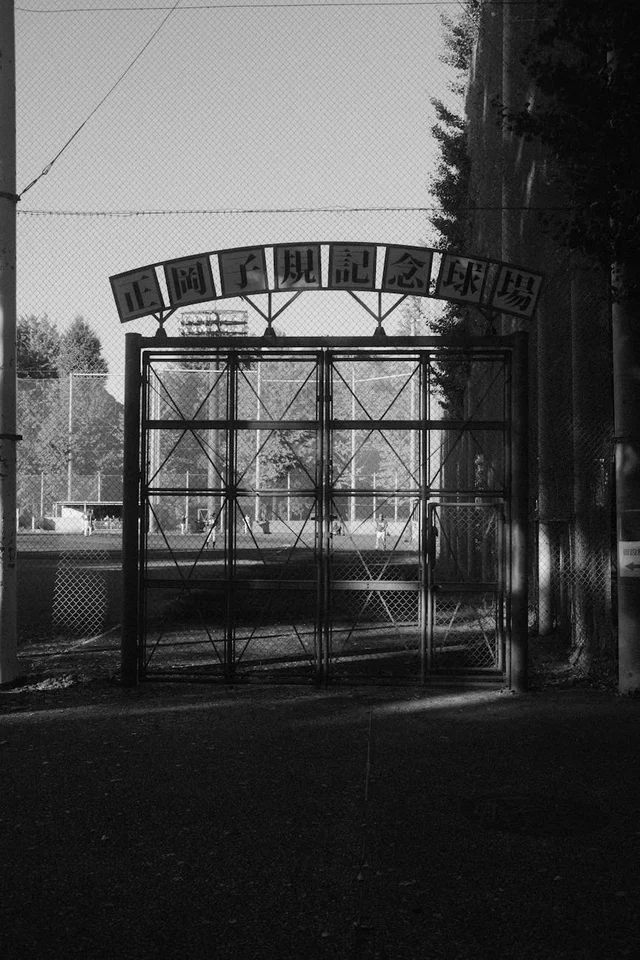 Blue Jays Lineup Optimization: wOBA & Run Creation Metrics