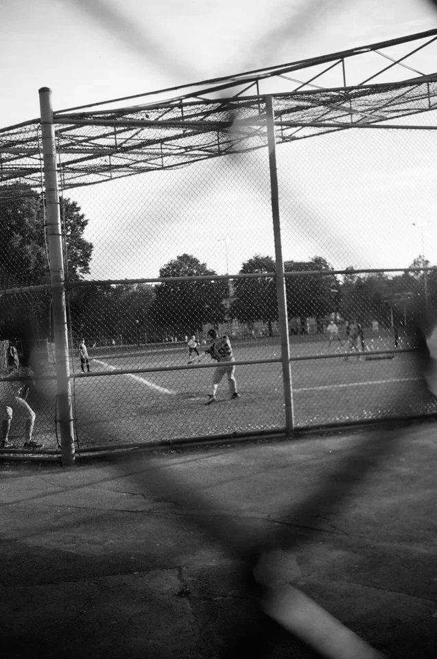 Blue Jays Player Stats: Season Leaders and Analysis