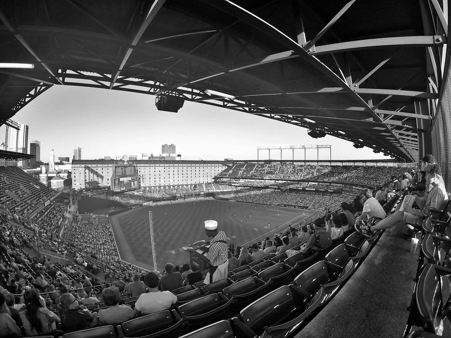 Blue Jays Season Schedule, Results & Playoff Race